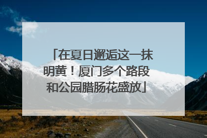 在夏日邂逅这一抹明黄！厦门多个路段和公园腊肠花盛放