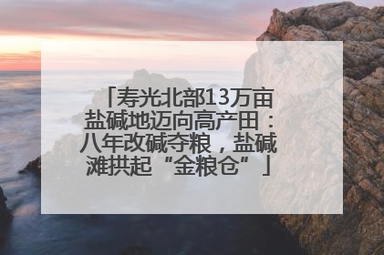寿光北部13万亩盐碱地迈向高产田：八年改碱夺粮，盐碱滩拱起“金粮仓”