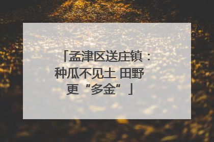 孟津区送庄镇：种瓜不见土 田野更“多金”