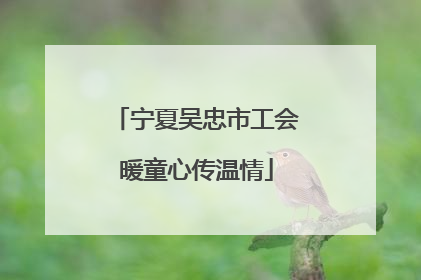 宁夏吴忠市工会暖童心传温情