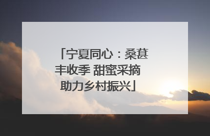 宁夏同心：桑葚丰收季 甜蜜采摘助力乡村振兴