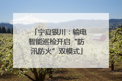 宁夏银川：输电智能巡检开启“防汛防火”双模式