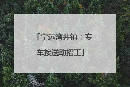 宁远湾井镇：专车接送助招工