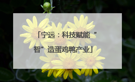 宁远：科技赋能“智”造蛋鸡鸭产业