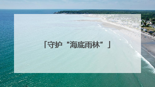 守护“海底雨林”