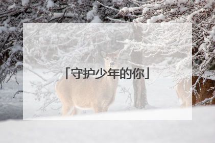 守护少年的你