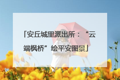 安丘城里派出所：“云端枫桥”绘平安图景
