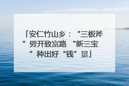 安仁竹山乡：“三板斧”劈开致富路 “新三宝”种出好“钱”景