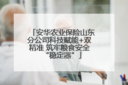 安华农业保险山东分公司科技赋能+双精准 筑牢粮食安全“稳定器”