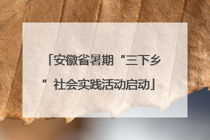 安徽省暑期“三下乡”社会实践活动启动