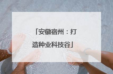 安徽宿州：打造种业科技谷