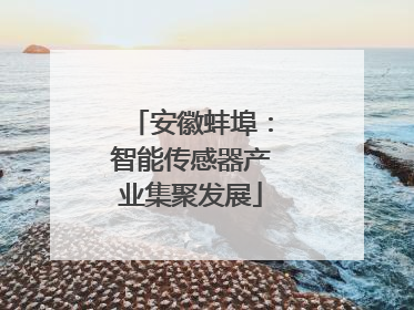 安徽蚌埠：智能传感器产业集聚发展