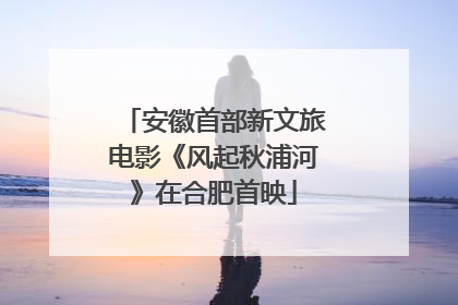 安徽首部新文旅电影《风起秋浦河》在合肥首映