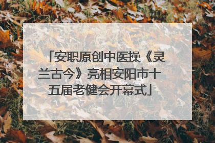 安职原创中医操《灵兰古今》亮相安阳市十五届老健会开幕式