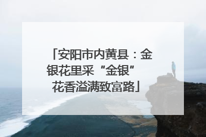 安阳市内黄县：金银花里采“金银” 花香溢满致富路