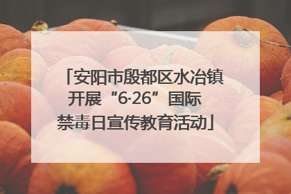 安阳市殷都区水冶镇开展“6·26”国际禁毒日宣传教育活动