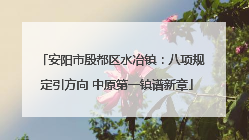 安阳市殷都区水冶镇：八项规定引方向 中原第一镇谱新章