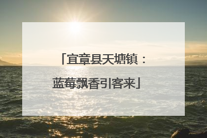 宜章县天塘镇：蓝莓飘香引客来