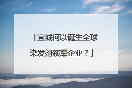 宜城何以诞生全球染发剂领军企业？