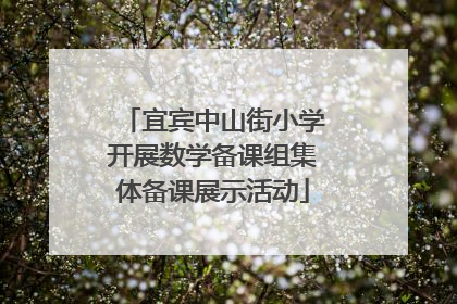 宜宾中山街小学开展数学备课组集体备课展示活动