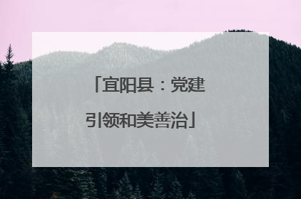 宜阳县：党建引领和美善治