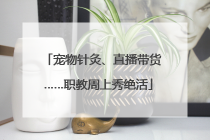 宠物针灸、直播带货……职教周上秀绝活