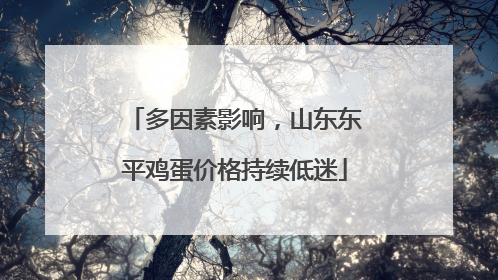 多因素影响，山东东平鸡蛋价格持续低迷