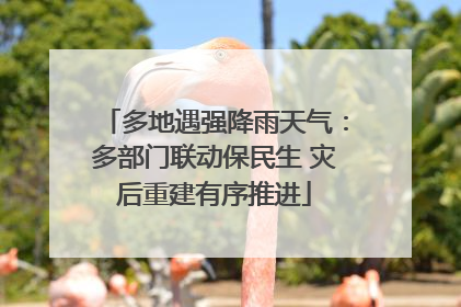 多地遇强降雨天气：多部门联动保民生 灾后重建有序推进