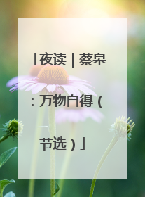 夜读｜蔡皋：万物自得（节选）