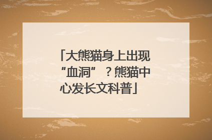 大熊猫身上出现“血洞”？熊猫中心发长文科普