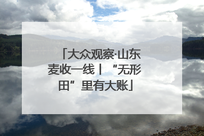 大众观察·山东麦收一线丨“无形田”里有大账