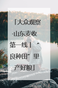 大众观察·山东麦收第一线丨“良种田”里产好粮