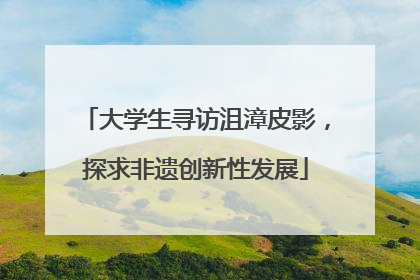 大学生寻访沮漳皮影，探求非遗创新性发展
