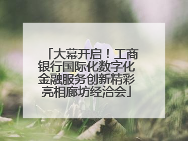 大幕开启！工商银行国际化数字化金融服务创新精彩亮相廊坊经洽会