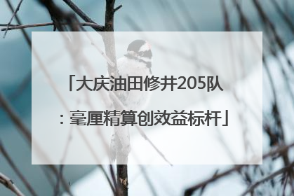 大庆油田修井205队：毫厘精算创效益标杆