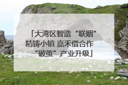 大湾区智造“联姻”精铸小镇 嘉禾借合作“破茧”产业升级