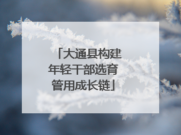 大通县构建年轻干部选育管用成长链