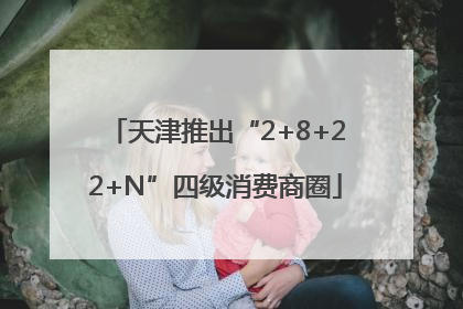 天津推出“2+8+22+N”四级消费商圈