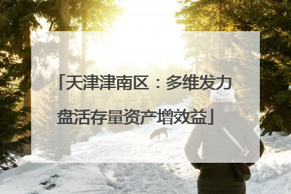天津津南区：多维发力盘活存量资产增效益