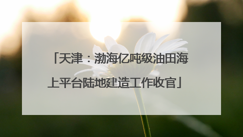 天津：渤海亿吨级油田海上平台陆地建造工作收官