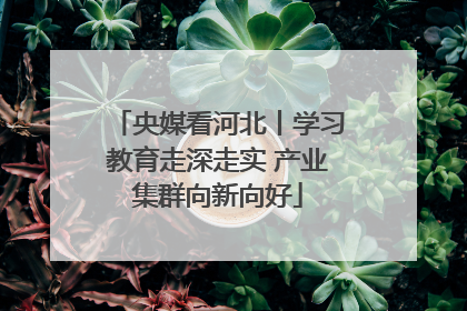 央媒看河北丨学习教育走深走实 产业集群向新向好