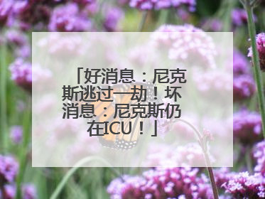 好消息：尼克斯逃过一劫！坏消息：尼克斯仍在ICU！