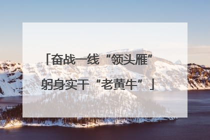 奋战一线“领头雁” 躬身实干“老黄牛”