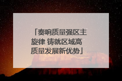 奏响质量强区主旋律 铸就区域高质量发展新优势
