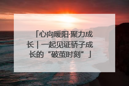 心向暖阳·聚力成长｜一起见证骄子成长的“破茧时刻”