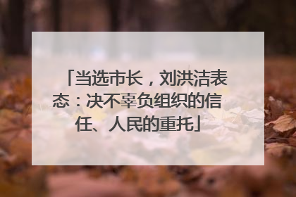 当选市长，刘洪洁表态：决不辜负组织的信任、人民的重托