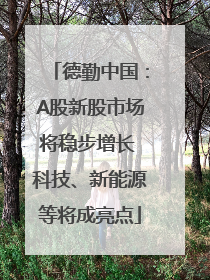 德勤中国：A股新股市场将稳步增长 科技、新能源等将成亮点