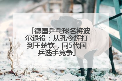 德国乒乓球名将波尔退役：从孔令辉打到王楚钦，同5代国乒选手竞争
