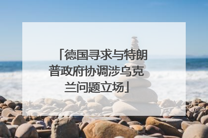 德国寻求与特朗普政府协调涉乌克兰问题立场