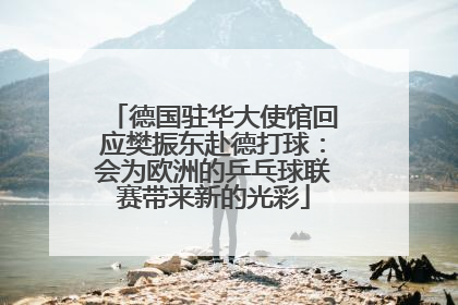 德国驻华大使馆回应樊振东赴德打球：会为欧洲的乒乓球联赛带来新的光彩